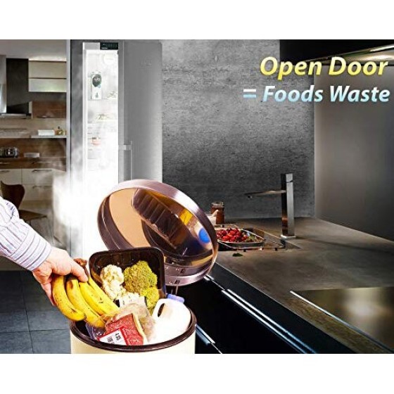 FRIDGGI - Alarm Pintu Freezer Saat Dibiarkan Terbuka, Peringatan Pintu Kulkas dengan Tunda, Pengingat 60 detik, 120 detik, 180 detik (Putih)